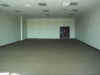 Carpeting.JPG (68186 bytes)